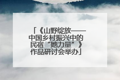 《山野绽放——中国乡村振兴中的民宿“她力量”》作品研讨会举办