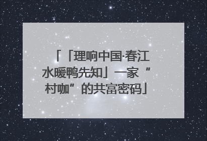 「理响中国·春江水暖鸭先知」一家“村咖”的共富密码