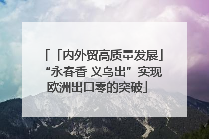 「内外贸高质量发展」“永春香 义乌出”实现欧洲出口零的突破