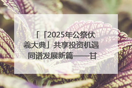 「2025年公祭伏羲大典」共享投资机遇 同谱发展新篇——甘肃省文旅产业链招商引资推介会侧记