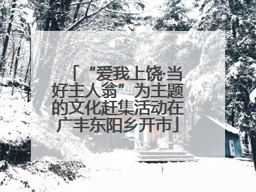 “爱我上饶·当好主人翁”为主题的文化赶集活动在广丰东阳乡开市