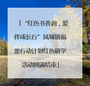 “红色书香润，爱伴成长行”凤城镇福蕾行动计划红色研学活动圆满结束
