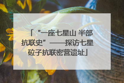 “一座七星山 半部抗联史”——探访七星砬子抗联密营遗址