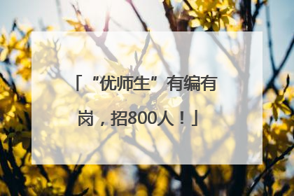 “优师生”有编有岗，招800人！