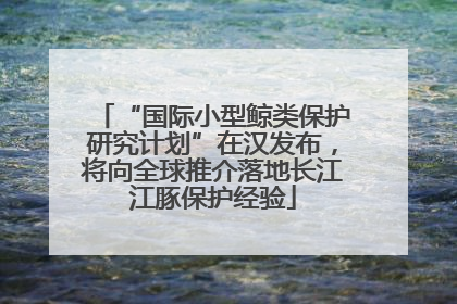 “国际小型鲸类保护研究计划”在汉发布，将向全球推介落地长江江豚保护经验
