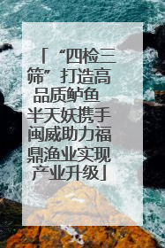 “四检三筛”打造高品质鲈鱼 半天妖携手闽威助力福鼎渔业实现产业升级