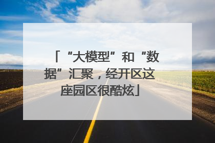 “大模型”和“数据”汇聚，经开区这座园区很酷炫