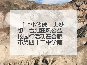 “小篮球，大梦想”合肥狂风公益校园行活动在合肥市第四十二中学南城分校圆满落幕
