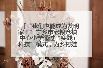 “我们也能成为发明家！”宁乡市老粮仓镇中心小学通过“实践+科技”模式，为乡村娃探索教育新路径