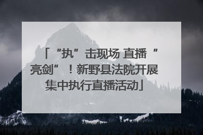 “执”击现场 直播“亮剑”！新野县法院开展集中执行直播活动