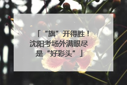“旗”开得胜！沈阳考场外满眼尽是“好彩头”