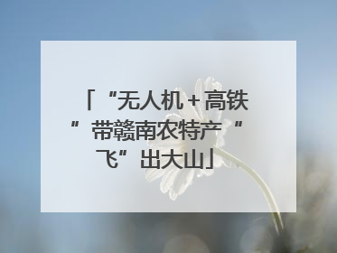“无人机＋高铁”带赣南农特产“飞”出大山