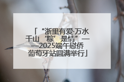 “浙里有爱·万水千山‘粽’是情”——2025端午慰侨葡萄牙站圆满举行