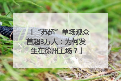 “苏超”单场观众首超3万人：为何发生在徐州主场？