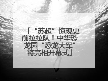 “苏超”惊现史前拉拉队！中华恐龙园“恐龙大军”将亮相开幕式