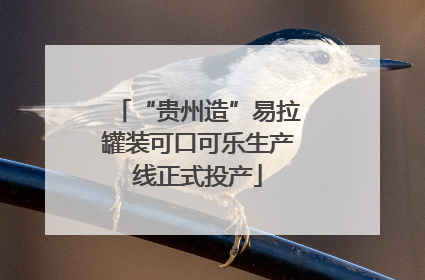 “贵州造”易拉罐装可口可乐生产线正式投产
