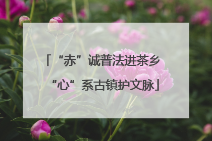 “赤”诚普法进茶乡 “心”系古镇护文脉
