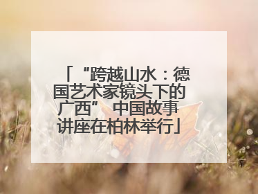 “跨越山水：德国艺术家镜头下的广西” 中国故事讲座在柏林举行