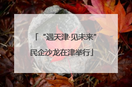 “遇天津·见未来”民企沙龙在津举行