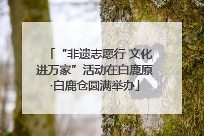 “非遗志愿行 文化进万家”活动在白鹿原·白鹿仓圆满举办
