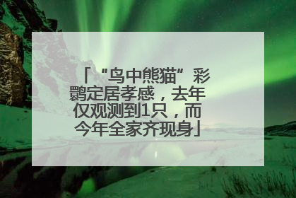 “鸟中熊猫”彩鹮定居孝感，去年仅观测到1只，而今年全家齐现身