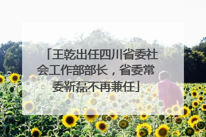 王乾出任四川省委社会工作部部长，省委常委靳磊不再兼任