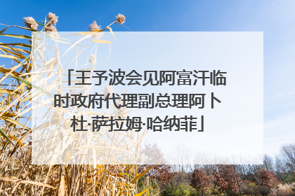 王予波会见阿富汗临时政府代理副总理阿卜杜·萨拉姆·哈纳菲