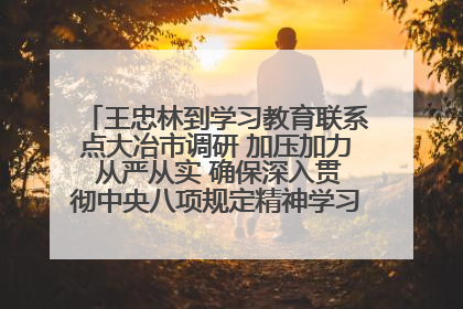 王忠林到学习教育联系点大冶市调研 加压加力 从严从实 确保深入贯彻中央八项规定精神学习教育取得实效