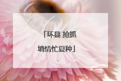 环县 抢抓墒情忙夏种
