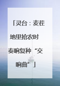 灵台：麦茬地里抢农时 奏响复种“交响曲”