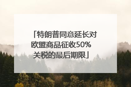 特朗普同意延长对欧盟商品征收50%关税的最后期限