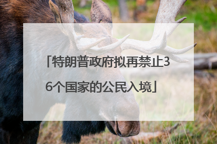 特朗普政府拟再禁止36个国家的公民入境