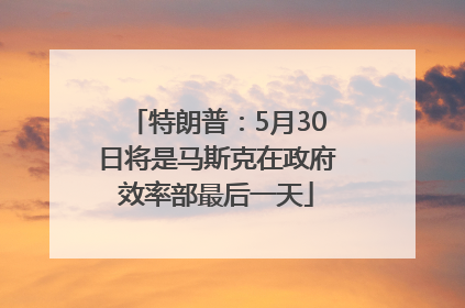 特朗普：5月30日将是马斯克在政府效率部最后一天