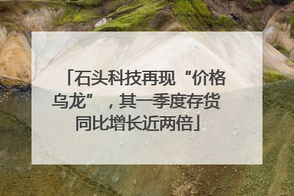 石头科技再现“价格乌龙”，其一季度存货同比增长近两倍