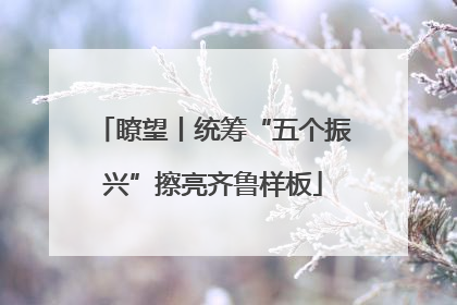 瞭望丨统筹“五个振兴”擦亮齐鲁样板