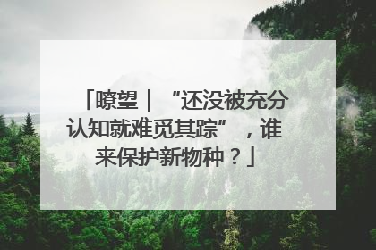 瞭望｜“还没被充分认知就难觅其踪”，谁来保护新物种？
