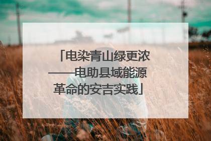 电染青山绿更浓——电助县域能源革命的安吉实践