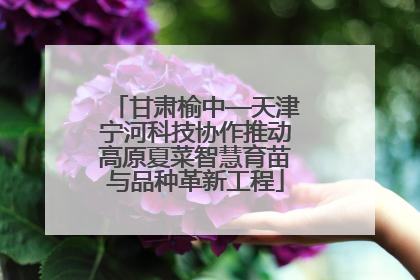 甘肃榆中—天津宁河科技协作推动高原夏菜智慧育苗与品种革新工程