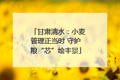 甘肃清水：小麦管理正当时 守护粮“芯”绘丰景