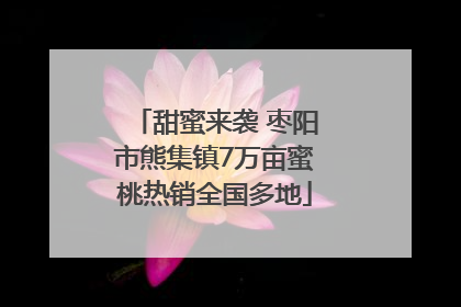 甜蜜来袭 枣阳市熊集镇7万亩蜜桃热销全国多地