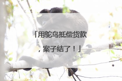 用鸵鸟抵偿货款，案子结了！