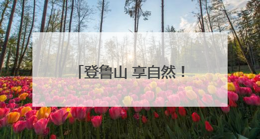 登鲁山 享自然！2025山东鲁山登山挑战赛举行