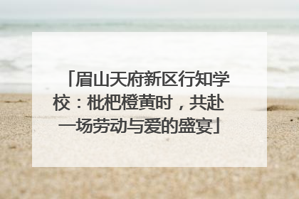 眉山天府新区行知学校：枇杷橙黄时，共赴一场劳动与爱的盛宴