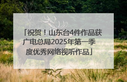 祝贺！山东台4件作品获广电总局2025年第一季度优秀网络视听作品