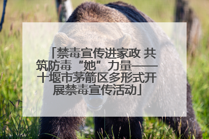 禁毒宣传进家政 共筑防毒“她”力量——十堰市茅箭区多形式开展禁毒宣传活动
