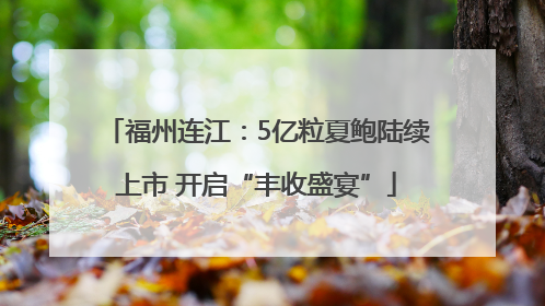 福州连江：5亿粒夏鲍陆续上市 开启“丰收盛宴”
