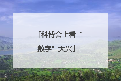 科博会上看“数字”大兴