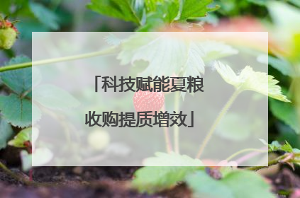 科技赋能夏粮收购提质增效