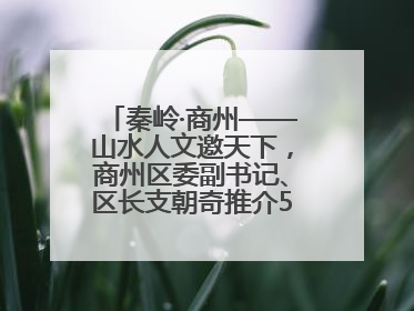 秦岭·商州——山水人文邀天下，商州区委副书记、区长支朝奇推介5个重点招商项目