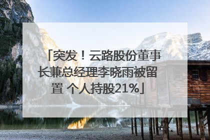 突发！云路股份董事长兼总经理李晓雨被留置 个人持股21%